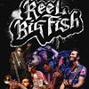 Reel Big Fish - Live! In Concert