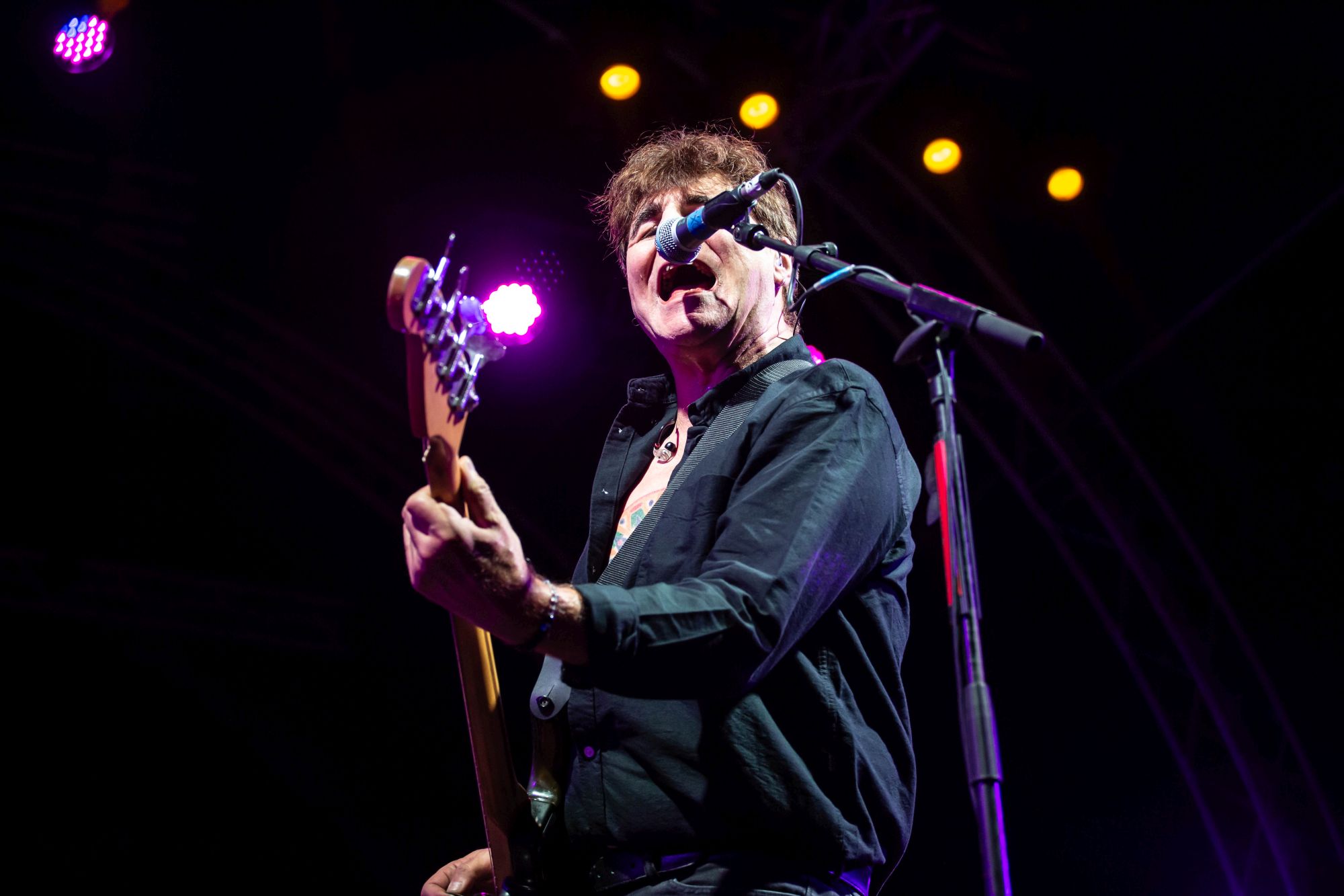 The Chameleons