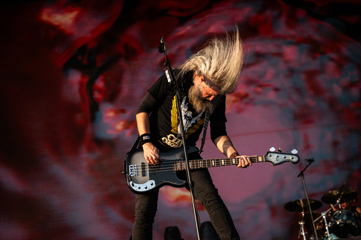 Mastodon