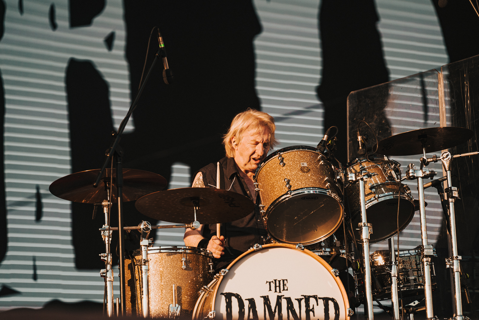 The Damned