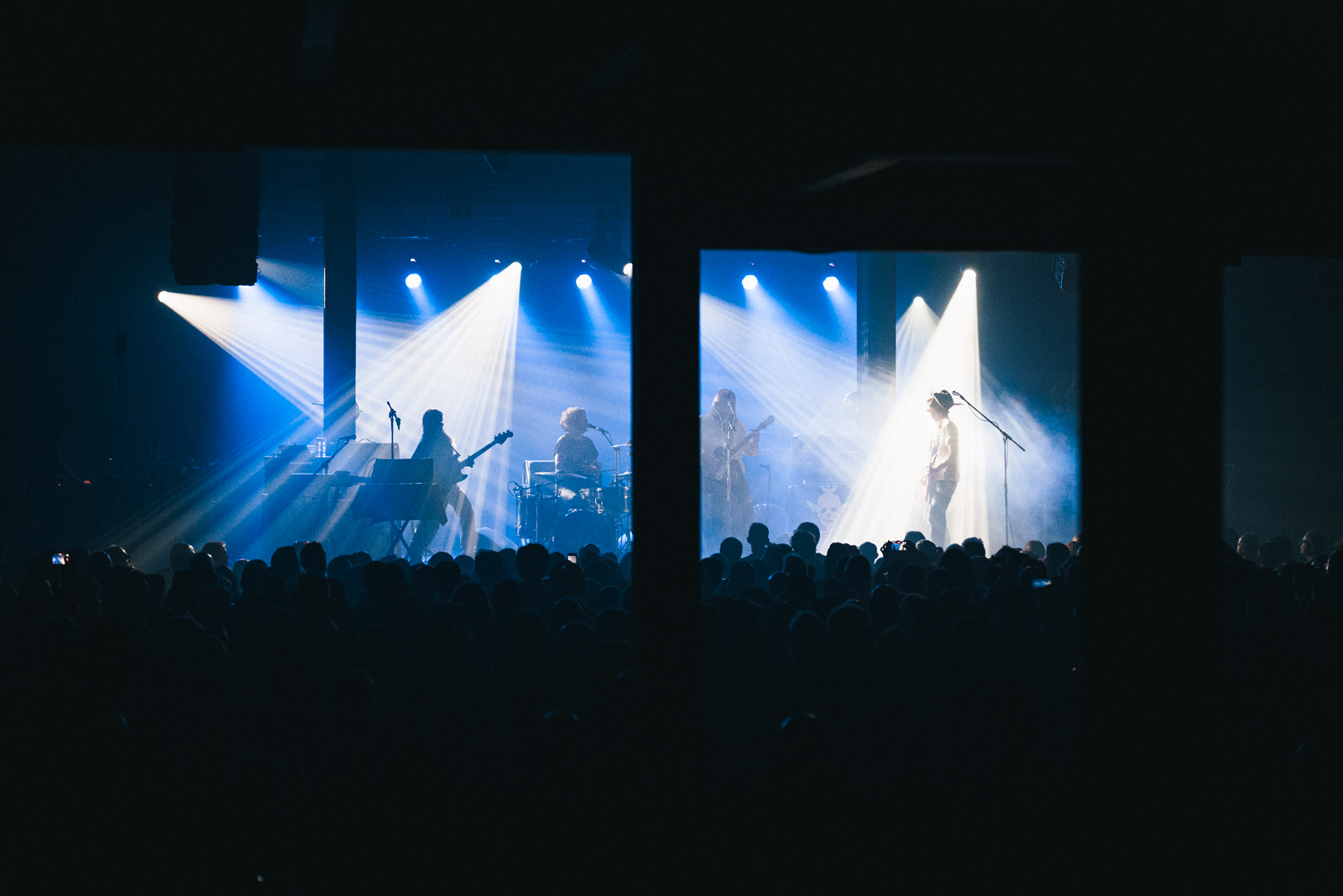 The Dandy Warhols