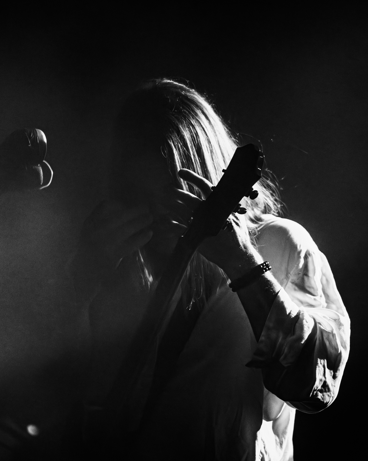 The Dandy Warhols