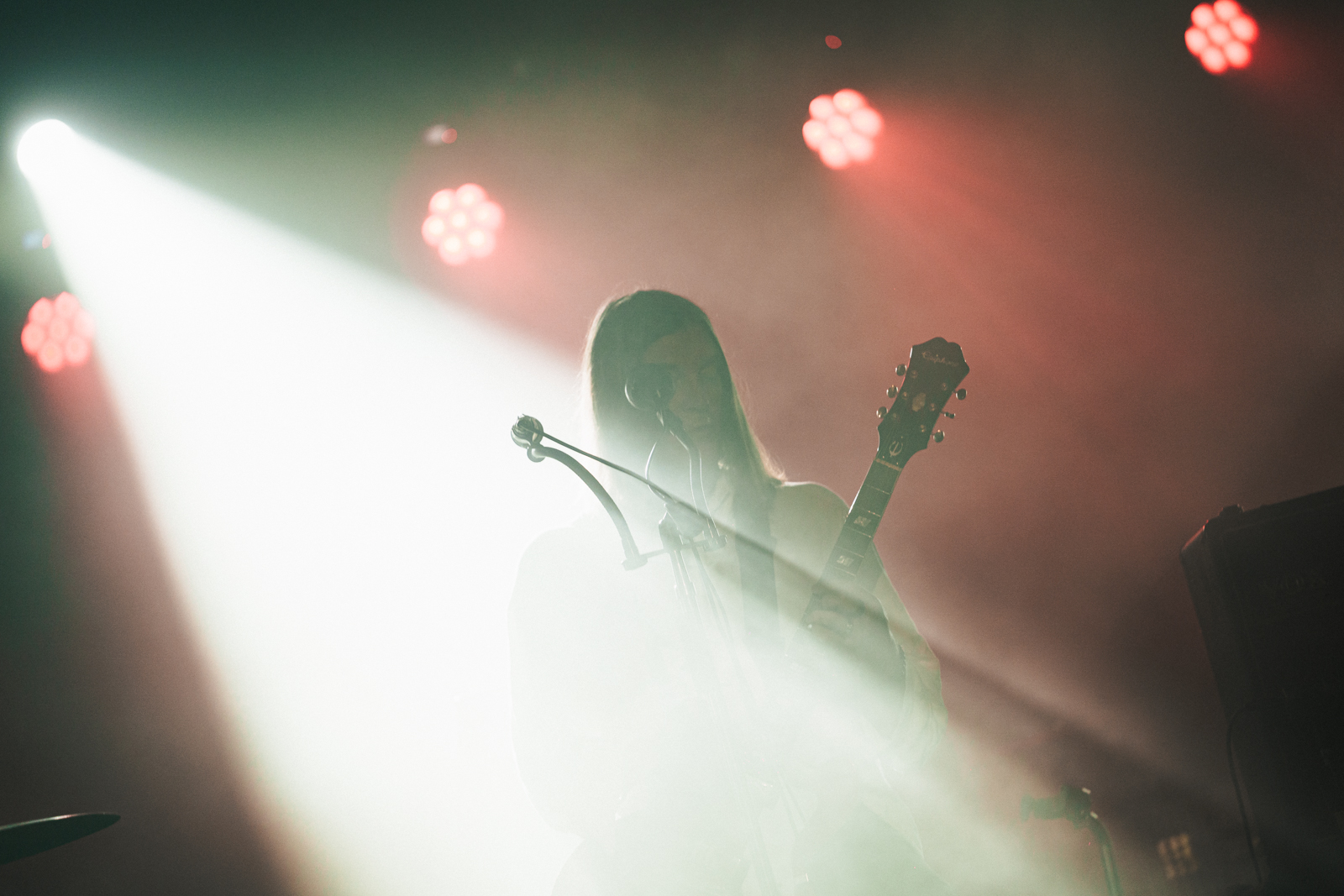 The Dandy Warhols
