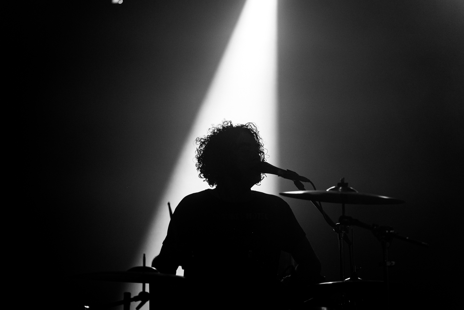 The Dandy Warhols