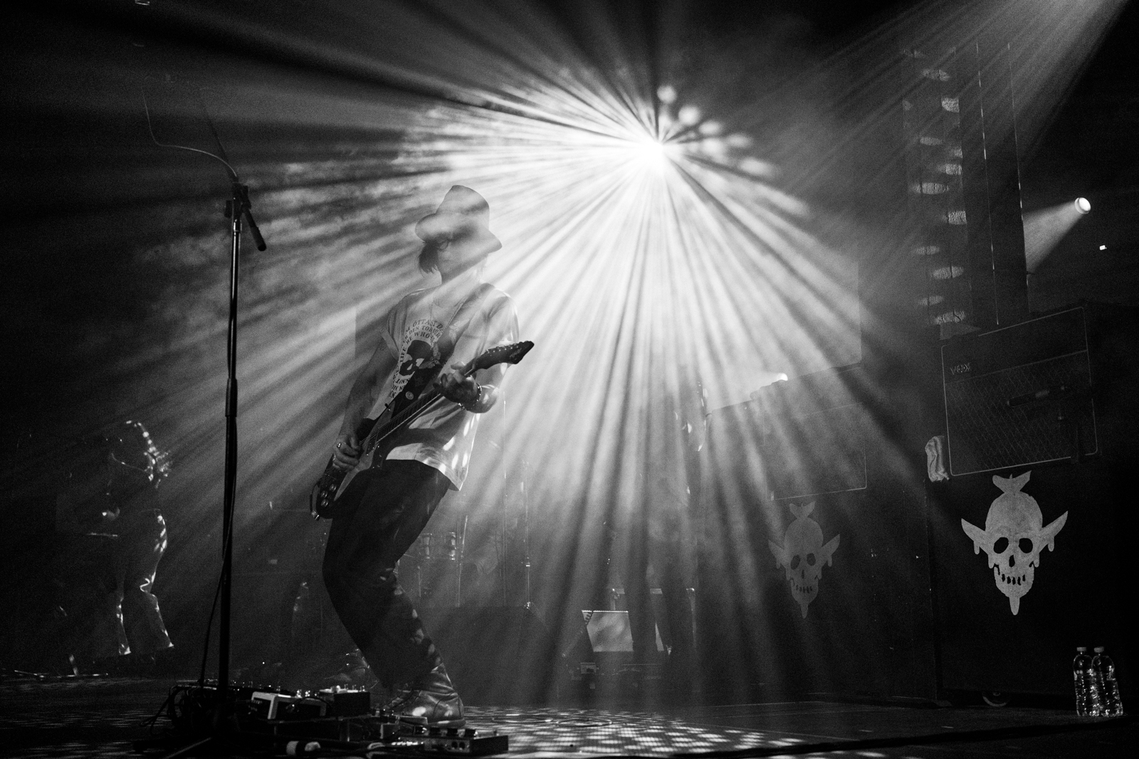 The Dandy Warhols