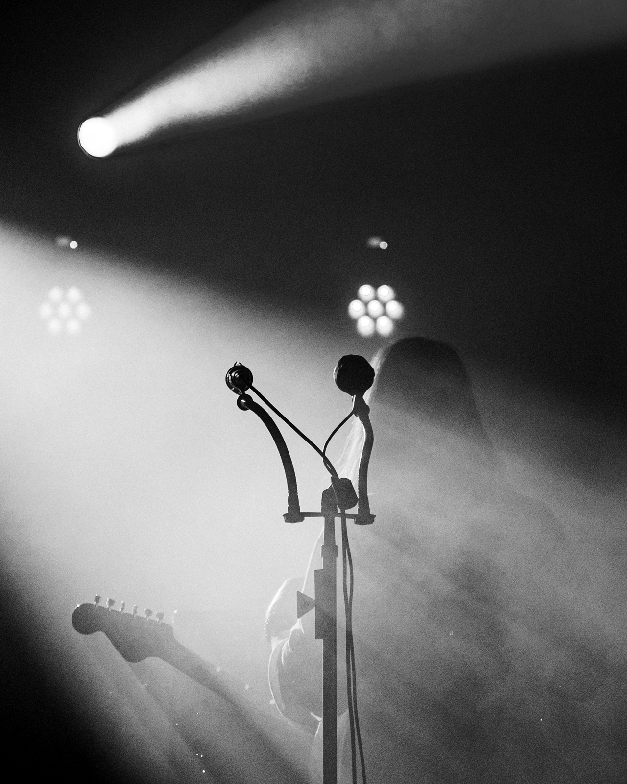 The Dandy Warhols