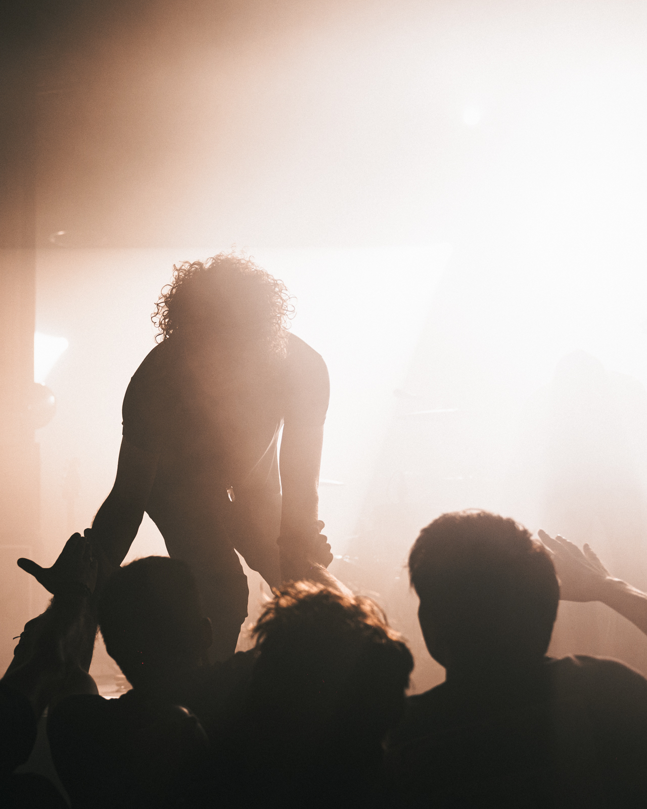 The Dandy Warhols