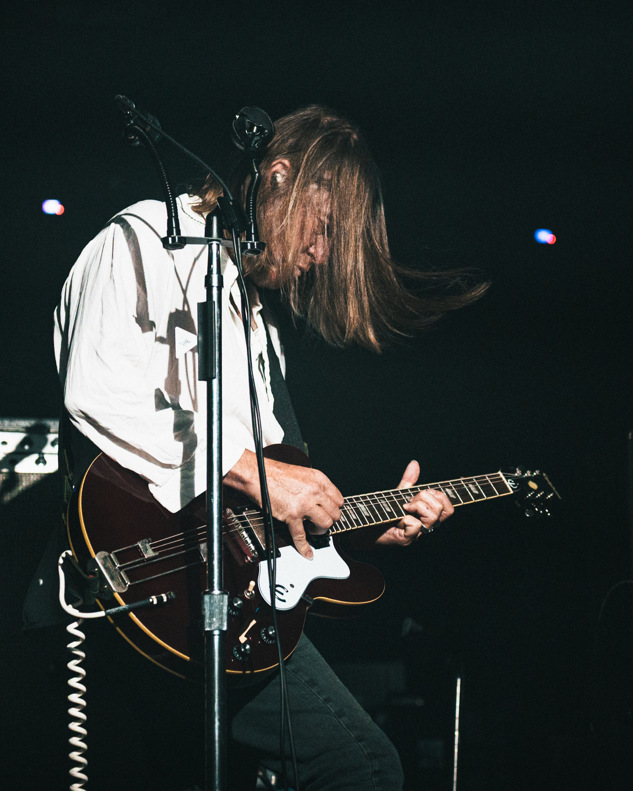 The Dandy Warhols