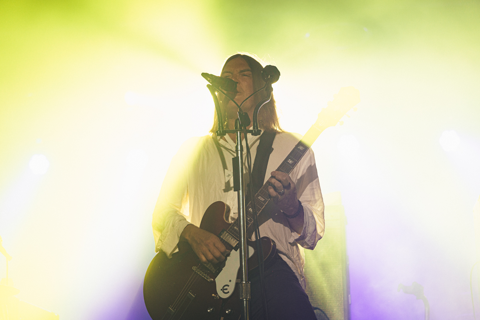 The Dandy Warhols