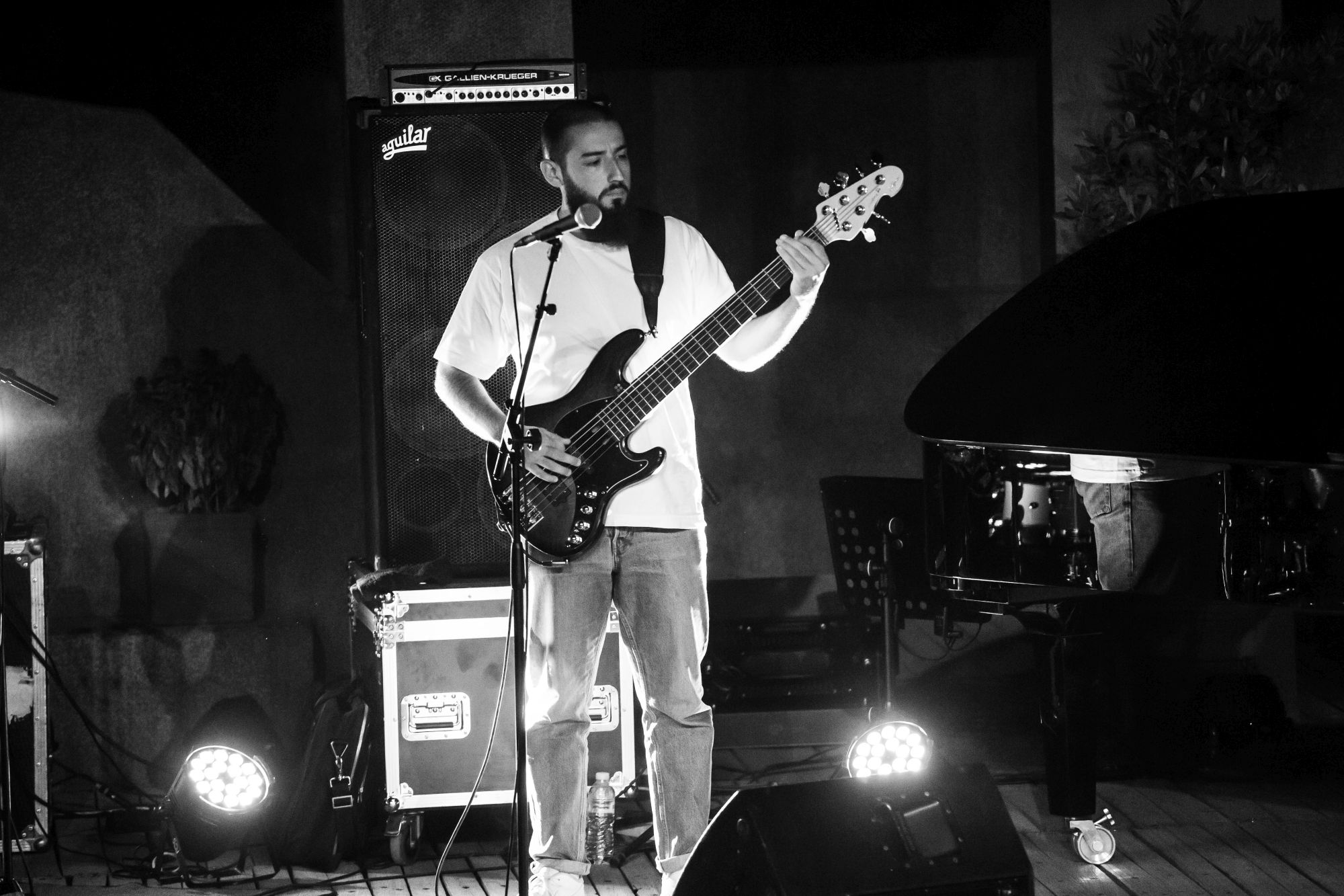 Tigran Hamasyan