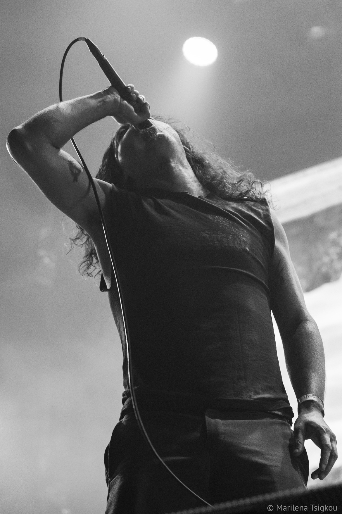 Inter Arma