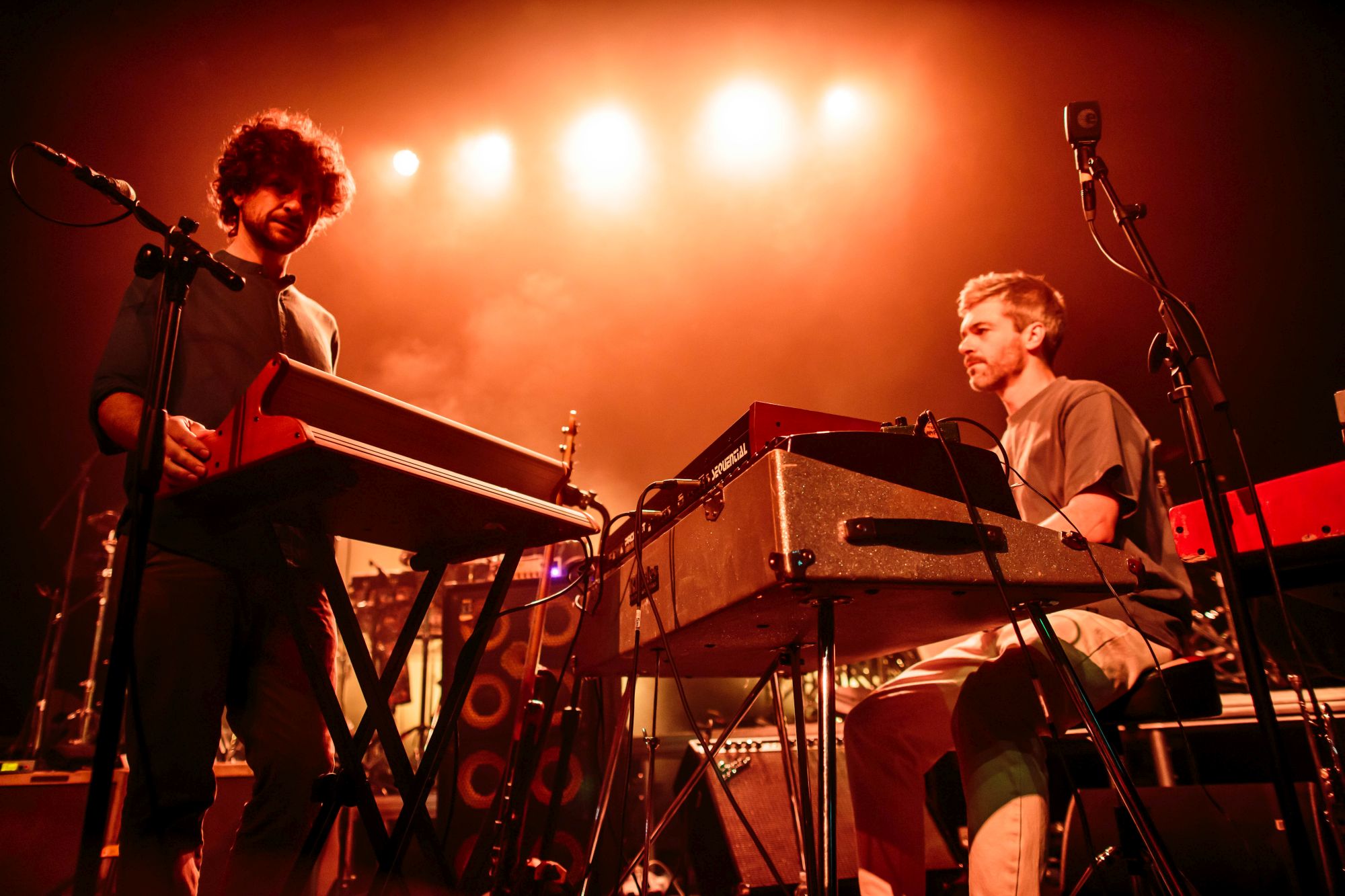 Snarky Puppy