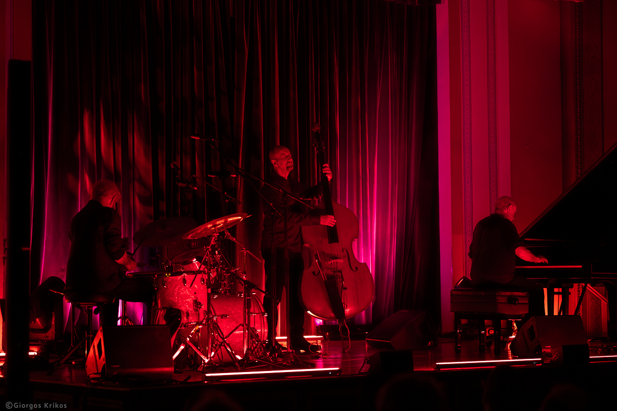 The Necks