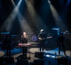 Διάφανα Κρίνα, Βαγγέλης Μαρκαντώνης @ Fuzz, 03/02/18 