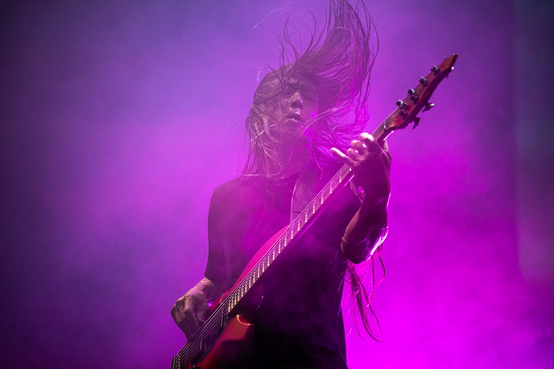Mastodon