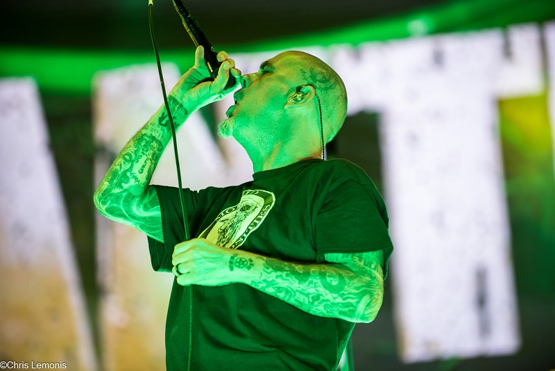 Pantera
