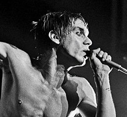 «A Buyer's Guide»: Iggy Pop 