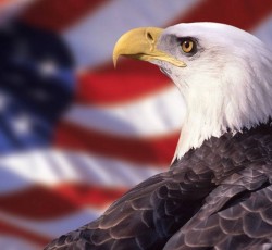 «A Beginner’s Guide»: '80s U.S. Power Metal - Part II 