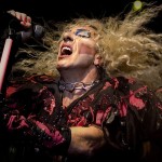 «A Buyer's Guide»: Dee Snider 