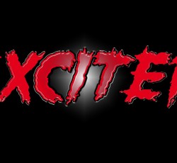 «A Buyer's Guide»: Exciter