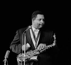 «A Buyer's Guide»: Cannonball Adderley 