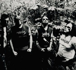 Necrogosto: «Αν οι παλιοί Sepultura ήξεραν να παίζουν σωστά, θα ήταν μέτρια μπάντα»