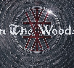 In the Woods: Επιστρέφουν μετά από 17 χρόνια 