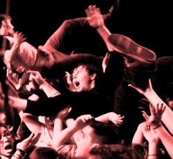 «Selfie στη σκηνή; Θα φας κλωτσιά!» - Η συνέχεια... 