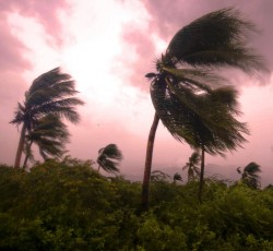 Headbanging υπό τον ήχο των Slayer εν μέσω του τυφώνα Matthew! (video) 
