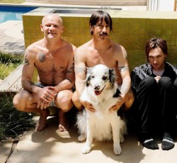 «Άρρωστη Αγάπη» σε animated video από τους Red Hot Chilli Peppers