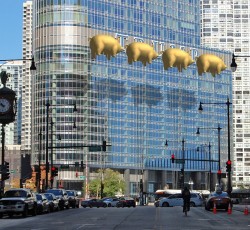 Ιπτάμενα γουρούνια «επιτίθενται» στον Trump στο Σικάγο
