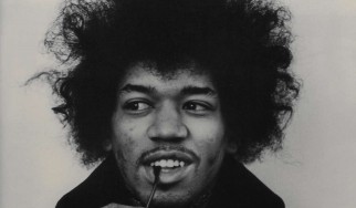 Ο Jimi Hendrix «δανείζει» το όνομά του σε νέο φυτό