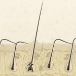 Έρευνα: Αν η μουσική σου προκαλεί ρίγη, τότε ο εγκέφαλός σου ίσως είναι ξεχωριστός!