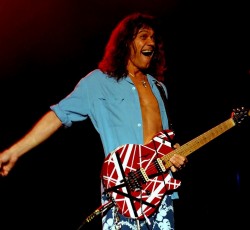 Η Frankenstrat του Van Halen «έκανε φτερά» 