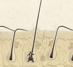 Έρευνα: Αν η μουσική σου προκαλεί ρίγη, τότε ο εγκέφαλός σου ίσως είναι ξεχωριστός! 