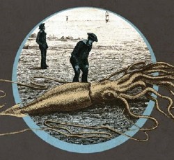 Αυτά είναι τα πρώτα ονόματα του φετινού New Long Fest