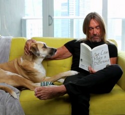 Ο Νick Cave βάζει τη μουσική, ο Iggy Pop και ο σκύλος του πρωταγωνιστούν… 