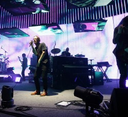 Οι Radiohead δανείζουν το όνομά τους σε νέο είδος μυρμηγκιών
