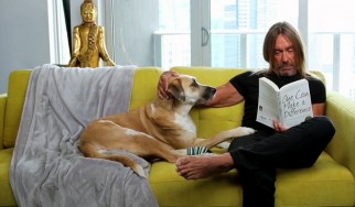 Ο Νick Cave βάζει τη μουσική, ο Iggy Pop και ο σκύλος του πρωταγωνιστούν…