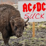 Βίσονας απομακρύνεται από αυτοκινητόδρομο υπό τους ήχους του …"Hells Bells"