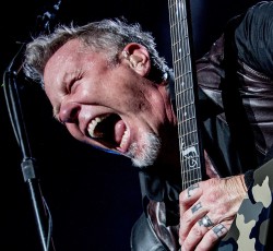 Τραγούδι των Metallica φοβίζει πάνθηρα και σώζει τη ζωή γυναίκας