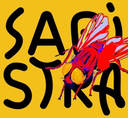 Το Saristra Festival φέρνει τρεις μέρες γεμάτες μουσική και τέχνη στην Κεφαλονιά
