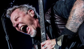 Τραγούδι των Metallica φοβίζει πάνθηρα και σώζει τη ζωή γυναίκας