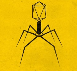 Οι νέες κυκλοφορίες της 24ης Ιουλίου 2020