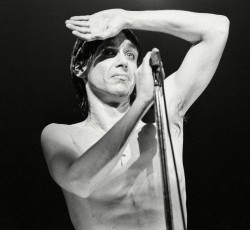 Δείτε το video clip για το "The Passenger" του Iggy Pop 