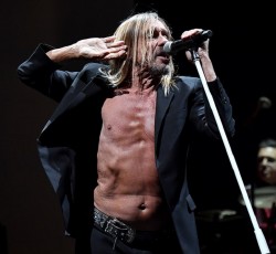 "Free": O Iggy Pop ενάντια στην κακοποίηση μαϊμούδων μέσω πειραμάτων 