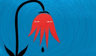 Οι νέες κυκλοφορίες της 14ης Αυγούστου 2020