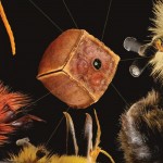 Οι νέες κυκλοφορίες της 4ης Ιουνίου 2021