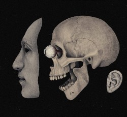 Οι νέες κυκλοφορίες της 26ης Μαρτίου 2021 