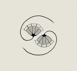 Οι νέες κυκλοφορίες της 2ας Απριλίου 2021 